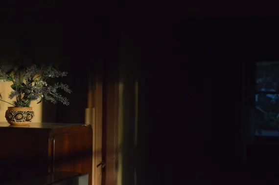 Trada Casino Podrška